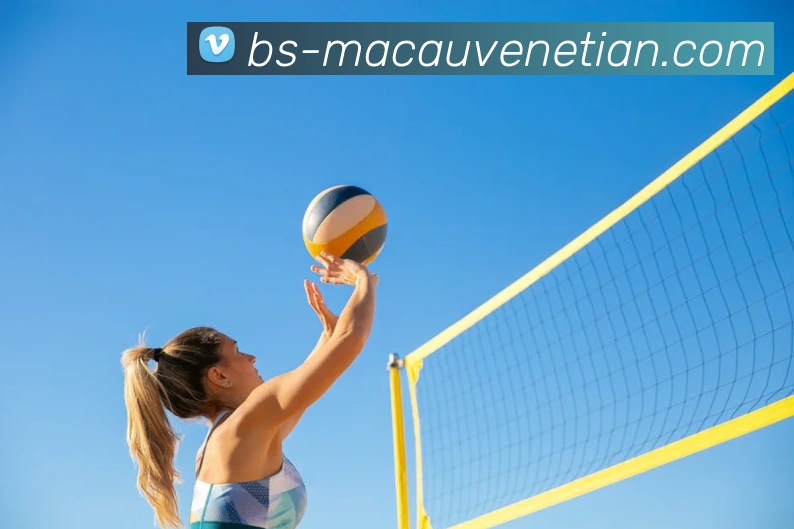 威尼斯人官网平台生态图