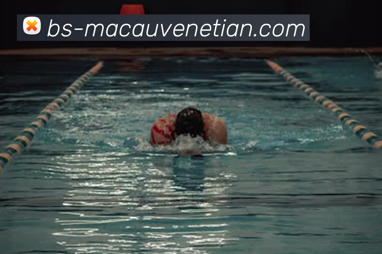 威尼斯人官网APP 封面图